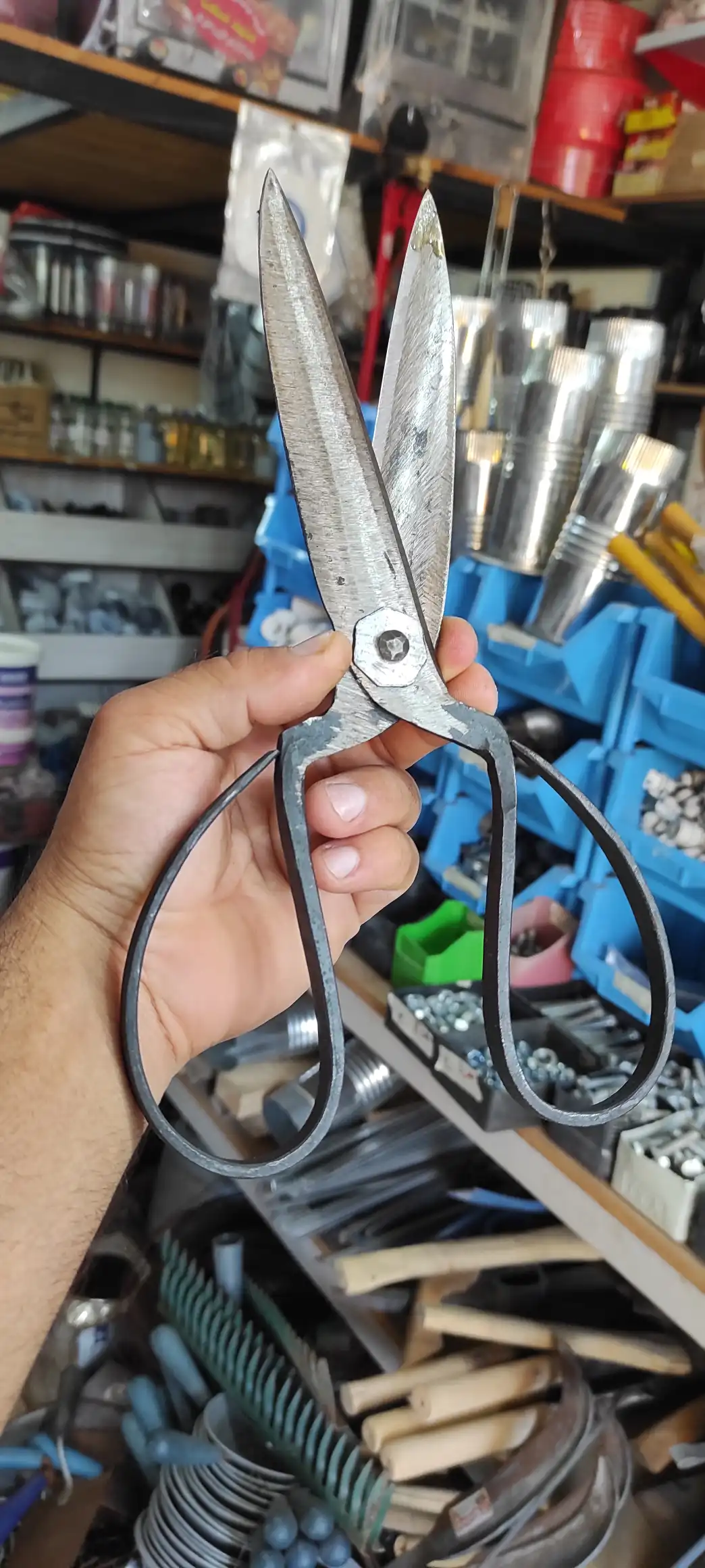 قیچی پشم چین گوسفند